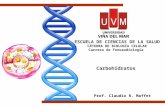 Carbohidratos Prof. Claudio R. Maffet ESCUELA DE CIENCIAS DE LA SALUD CÁTEDRA DE BIOLOGÍA CELULAR Carrera de Fonoaudiología.