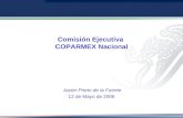 Comisión Ejecutiva COPARMEX Nacional Javier Prieto de la Fuente 12 de Mayo de 2006.