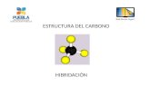 ESTRUCTURA DEL CARBONO HIBRIDACIÓN. Estructura del Carbono El carbono es un elemento con propiedades muy especiales que le permiten formar variadas familias.