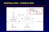 INSPIRACIÓN - ESPIRACIÓN Presión transpulmonar Ptp= Ppl - P A = Pes - Paw..
