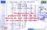 Resumen de la Accion Especial IRISGRID (TIC-2002-11109-E) ”Preparacion de proyectos GRID en el marco de las iniciativas de e-Ciencia en Europa” J. Salt.