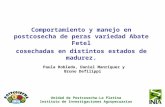 Comportamiento y manejo en postcosecha de peras variedad Abate Fetel cosechadas en distintos estados de madurez. Paula Robledo, Daniel Manríquez y Bruno.