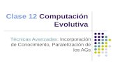 Clase 12 Computación Evolutiva Técnicas Avanzadas: Incorporación de Conocimiento, Paralelización de los AGs.