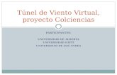 PARTICIPANTES: UNIVERSIDAD DE ALBERTA UNIVERSIDAD EAFIT UNIVERSIDAD DE LOS ANDES Túnel de Viento Virtual, proyecto Colciencias.