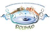 Formar grupos interdisciplinarios en el campo de la investigación, la evaluación ambiental y la protección de los ecosistemas acuáticos continentales.