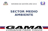 INFORME DE GESTIÓN AÑO 2013 SECTOR MEDIO AMBIENTE.