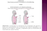 LIBERTAD  TEMA: Entrenamiento y el sistema pulmonar  OBJETIVO: Comprender.