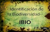 --Identificación de la Biodiversidad-- IBIO 21112.