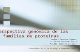 Perspectiva genómica de las familias de proteínas Andrés Cuadros Suárez Cristina Donaire Ávila Trifón Giménez Vázquez Introducción a la Biología Computacional.