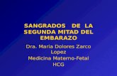 SANGRADOS DE LA SEGUNDA MITAD DEL EMBARAZO Dra. Maria Dolores Zarco Lopez Medicina Materno-Fetal HCG.