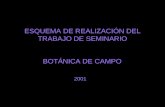 ESQUEMA DE REALIZACIÓN DEL TRABAJO DE SEMINARIO BOTÁNICA DE CAMPO 2001.