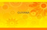 GUYANA. Localización Guyana Capital – Georgetown Idioma – inglés (oficial) – Akawaio – Wai-Wai – Arahuaco – Macushi.
