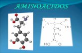 Como su nombre indica, es una molécula orgánica con un grupo amino (-NH2) y un grupo carboxílico (-COOH; ácido). Los aminoácidos más frecuentes y de mayor.