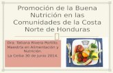 Dra. Tatiana Rivera Portillo. Maestría en Alimentación y Nutrición. La Ceiba 30 de Junio 2014.