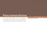 Feocromocitoma Dr. Luis Humberto Cruz Contreras Residente de anatomía patológica tomatetumedicina.wordpress.com.