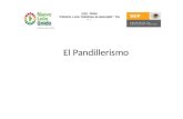El Pandillerismo ESC. PRIM “PROFR. LUIS TIJERINA ALMAGUER” TM. N. L.