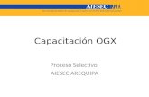 Capacitación OGX Proceso Selectivo AIESEC AREQUIPA.