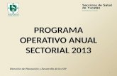 PROGRAMA OPERATIVO ANUAL SECTORIAL 2013 1 Dirección de Planeación y Desarrollo de los SSY.