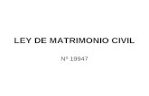 LEY DE MATRIMONIO CIVIL Nº 19947. 2 Principios (3) Proteger el interés de los hijos (27 i2, 31, 70, 85 i2, 90) Proteger el interés del cónyuge más débil.