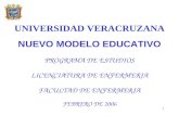 1 UNIVERSIDAD VERACRUZANA NUEVO MODELO EDUCATIVO PROGRAMA DE ESTUDIOS LICENCIATURA DE ENFERMERIA FACULTAD DE ENFERMERIA FEBRERO DE 2006.