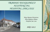 TRABAJO BIOQUIMICO ASISTENCIAL HOSPITAL SAN LUIS Bioq. Roxana Brovarone Área Química Clínica Hospital San Luis AÑO 2013.