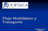 Alfredo Olvera Gómez Flujo Multifásico y Transporte.