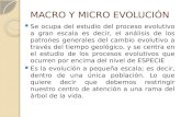 MACRO Y MICRO EVOLUCIÓN Se ocupa del estudio del proceso evolutivo a gran escala es decir, el análisis de los patrones generales del cambio evolutivo a.
