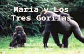 Había una vez, tres gorilas vivían en un casa en el bosque. Había una vez, tres gorilas vivían en un casa en el bosque. Ellos se llamaban Papa gorila,