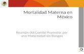 Mortalidad Materna en México Reunión del Comité Promotor por una Maternidad sin Riesgos.