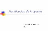 Planificación de Proyectos Carol Castro N. Estimación en Proyectos TI Para realizar la estimación supondremos que ya contamos con el análisis y disponemos.