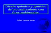 Diseño químico y genético de biocatalizadores con fines ambientales Rafael Vazquez-Duhalt.