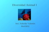 Diversidad Animal I Inst. Suheidy Valentin Biol3052.