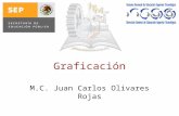 Graficación M.C. Juan Carlos Olivares Rojas. Agenda Diseño de juegos con DirectX. OpenGL. Java3D.