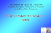 Ministerio de Salud de Mendoza División Zoonosis, Reservorio y Vectores Jefa: Dra. Alicia Puscama. PROGRAMA “DENGUE” 2009.
