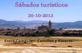 Entre Campiñas, Castillos y Pinares JCA-2012 Organizado por el Patronato de Turismo de Segovia, se inicia este ciclo denominado “Sábados Turísticos”