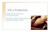 HIV y Embarazo Cord³n Maria Guadalupe Lucila Dom­nguez Internado rotatorio 2008: obstetricia Hospital Santojanni UCES