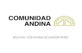 BOLIVIA- COLOMBIA-ECUADOR-PERÚ. Objetivos “Forjar una integración más equilibrada entre los aspectos sociales, culturales, económicos, ambientales y comerciales".