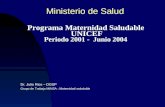 Programa Maternidad Saludable UNICEF Periodo 2001 - Junio 2004 Ministerio de Salud Grupo de Trabajo MINSA : Maternidad saludable Dr. Julio Rios – DGSP.
