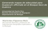 Generando mapas de adecuidad para Guaiacum officinale en el Bosque Seco de Guánica Universidad de Puerto Rico Recinto Universitario de Mayaguez Departamento.