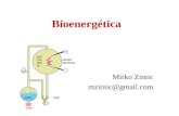 Bioenergética Mirko Zimic mzimic@gmail.com. Qué es la Bioenergética? Es la disciplina que estudia los aspectos energéticos en los sistemas vivos, tanto.