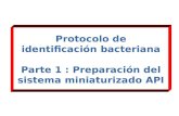 Protocolo de identificación bacteriana Parte 1 : Preparación del sistema miniaturizado API.