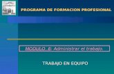 PROGRAMA DE FORMACION PROFESIONAL PROGRAMA DE FORMACION PROFESIONAL MODULO 6: Administrar el trabajo. TRABAJO EN EQUIPO.