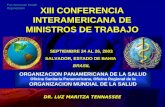 PAHO-2K Pan American Health Organization ORGANIZACION PANAMERICANA DE LA SALUD Oficina Sanitaria Panamericana, Oficina Regional de la ORGANIZACION MUNDIAL.