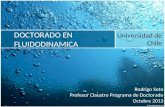 DOCTORADO EN FLUIDODINAMICA Universidad de Chile Rodrigo Soto Profesor Claustro Programa de Doctorado Octubre 2013.