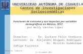 Director: Dr. Gustavo Félix Verduzco Lectores:Dr. Alejandro Brugués Rodríguez Dr. Nicolás Guadalupe Zúñiga Espinoza Funciones de consumo y sus impactos.