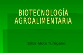 Elisa Mota Turégano.  INDICE:  Introducción  Áreas dentro de la biotecnología:  1. Biotecnología industrial  2. Biotecnología aplicada a la salud.