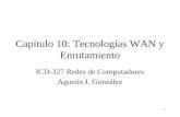 1 Capítulo 10: Tecnologías WAN y Enrutamiento ICD-327 Redes de Computadores Agustín J. González.