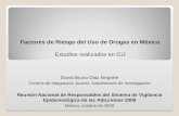 Factores de Riesgo del Uso de Drogas en México Estudios realizados en CIJ David Bruno Diaz Negrete Centros de Integración Juvenil, Subdirección de Investigación.