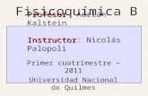Primer cuatrimestre – 2011 Universidad Nacional de Quilmes Profesor Profesor: Adrián Kalstein Instructor Instructor: Nicolás Palopoli Fisicoquímica B.