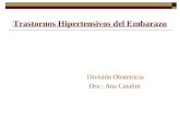 Trastornos Hipertensivos del Embarazo División Obstetricia Dra : Ana Catalini.